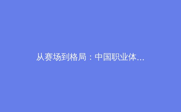 从赛场到格局：中国职业体育的产业化转型与未来挑战